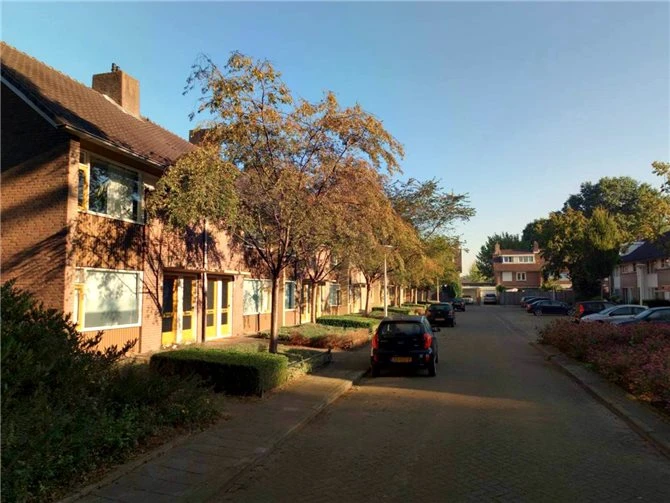 Rental property in Dolphijnstraat 25, Eindhoven