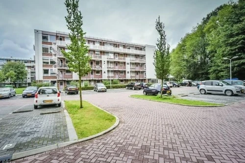 Rental property in Leverkruidweg, Zaandam