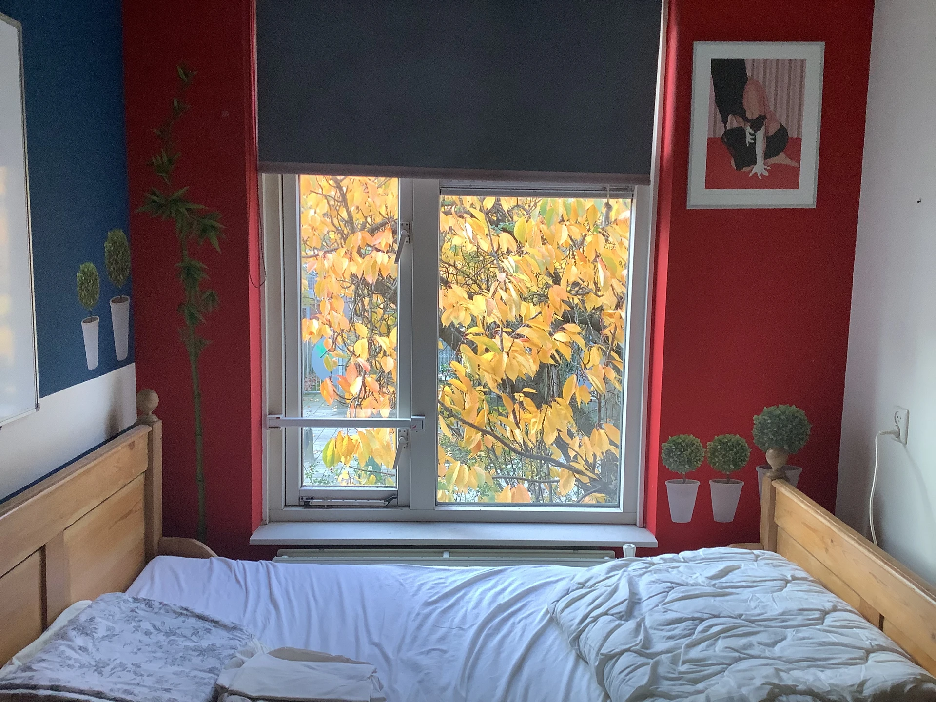 Rental property in Bilderdijkstraat, Nijmegen