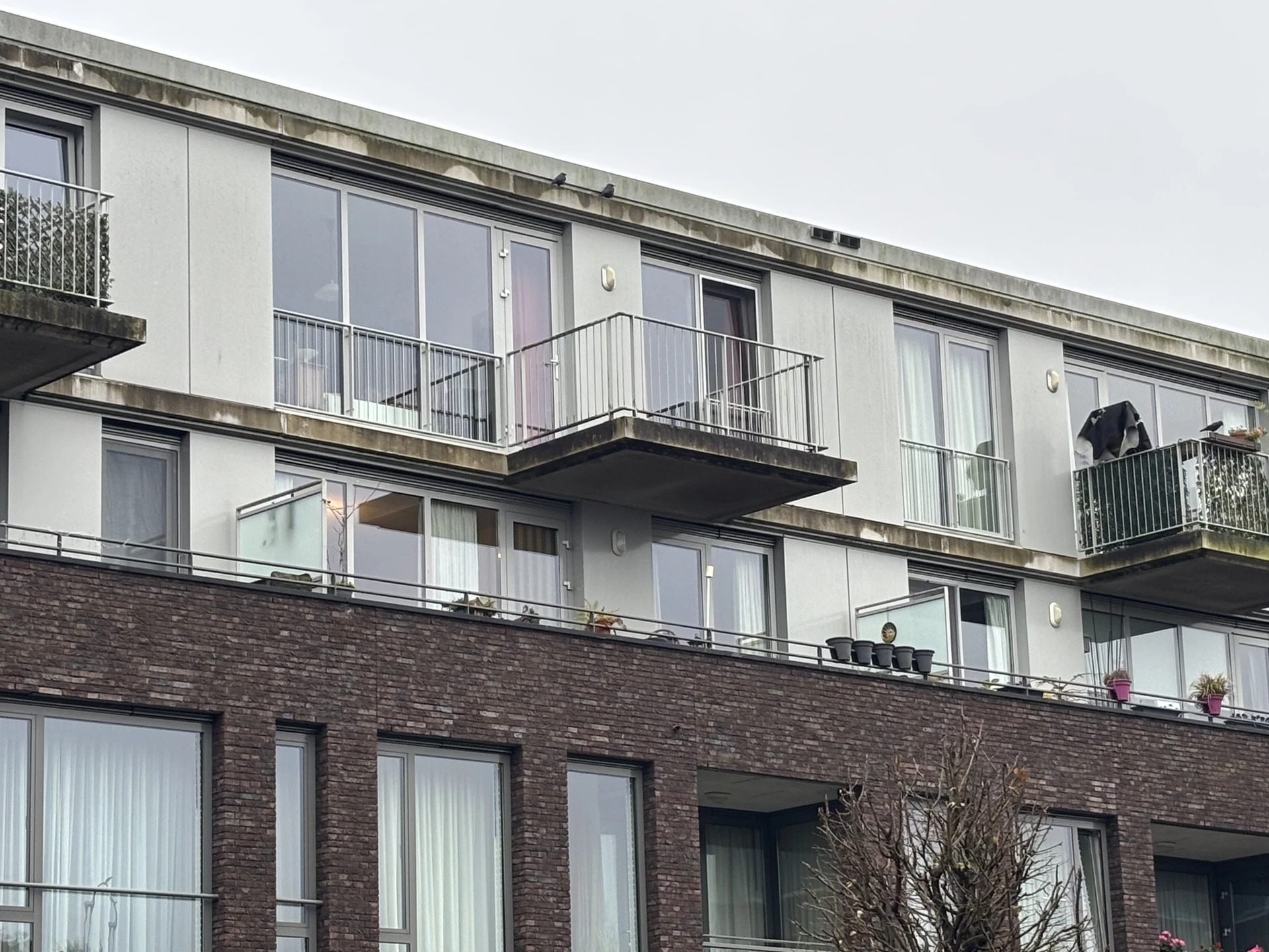 Rental property in Molenstraat 217, Vught