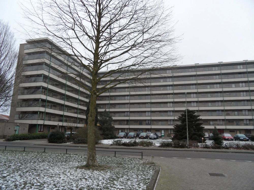 Rental property in Schuttersveld 81, Venray