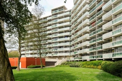 Rental property in Forellendaal, The Hague