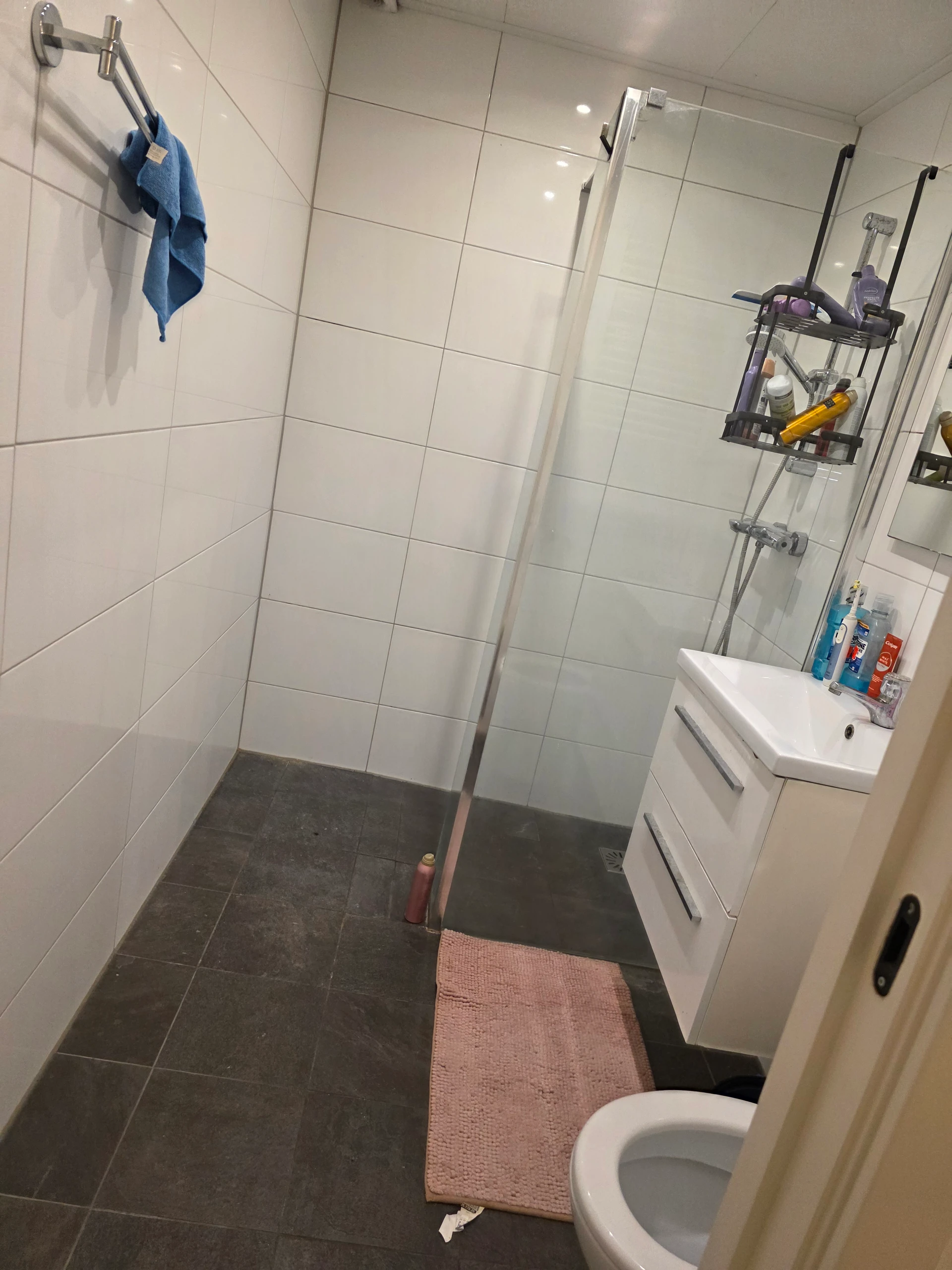 Rental property in Sfinxdreef, Utrecht