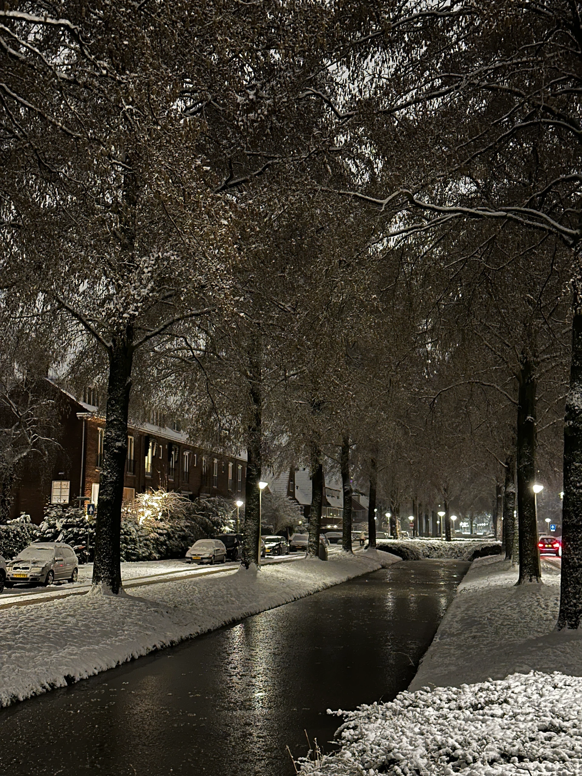 Rental property in Catharina van Clevepark, Amstelveen