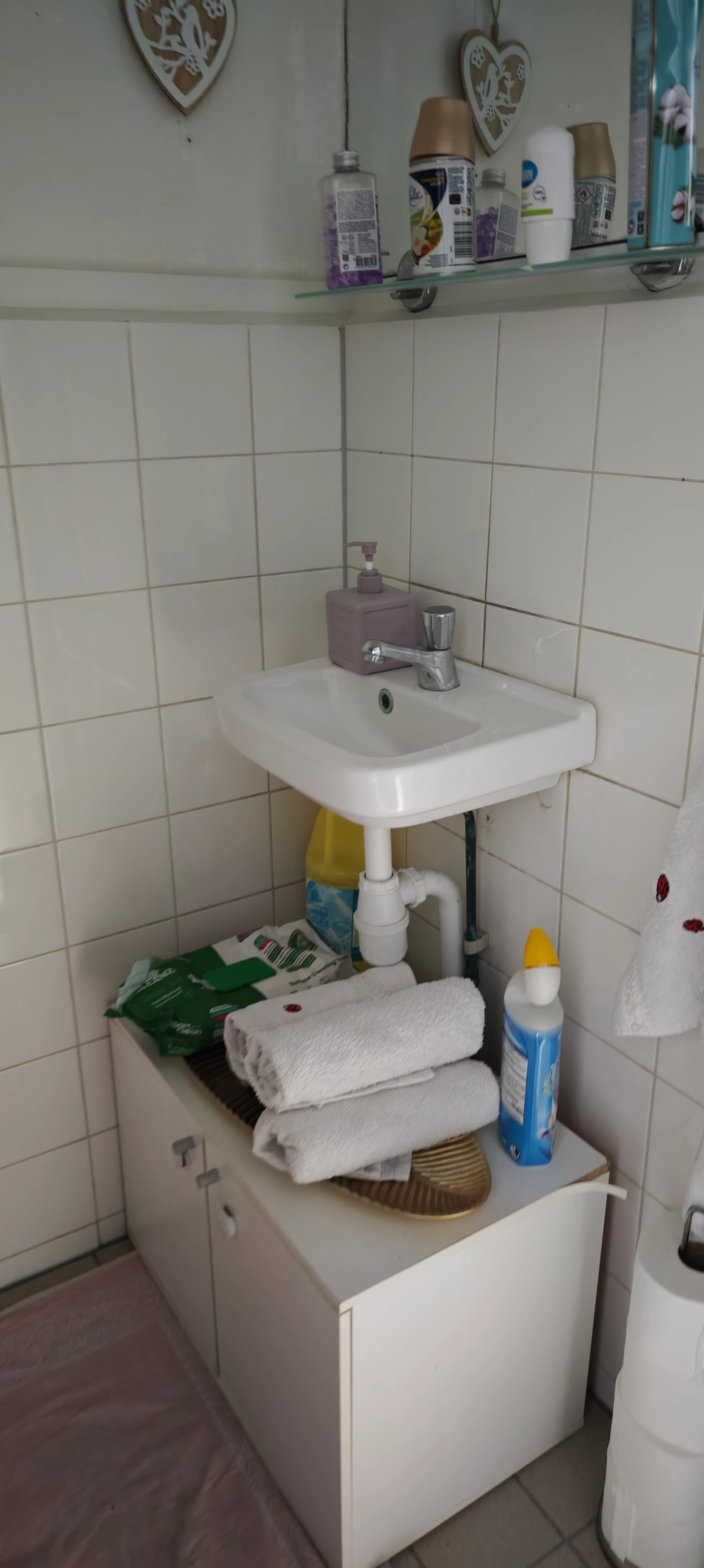 Rental property in Trumanlaan, Utrecht