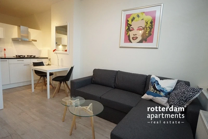Rental property in Adrien Mildersstraat, Rotterdam