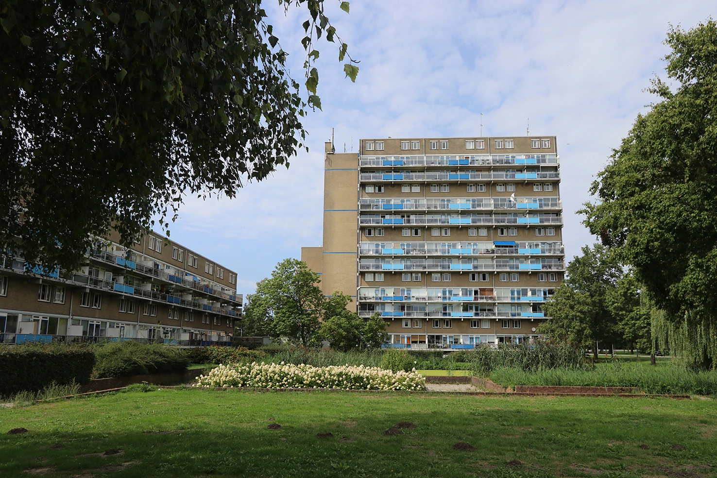 Rental property in Wortmanstraat 258, Kampen