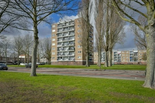 Rental property in Zuidervaart, Zaandam
