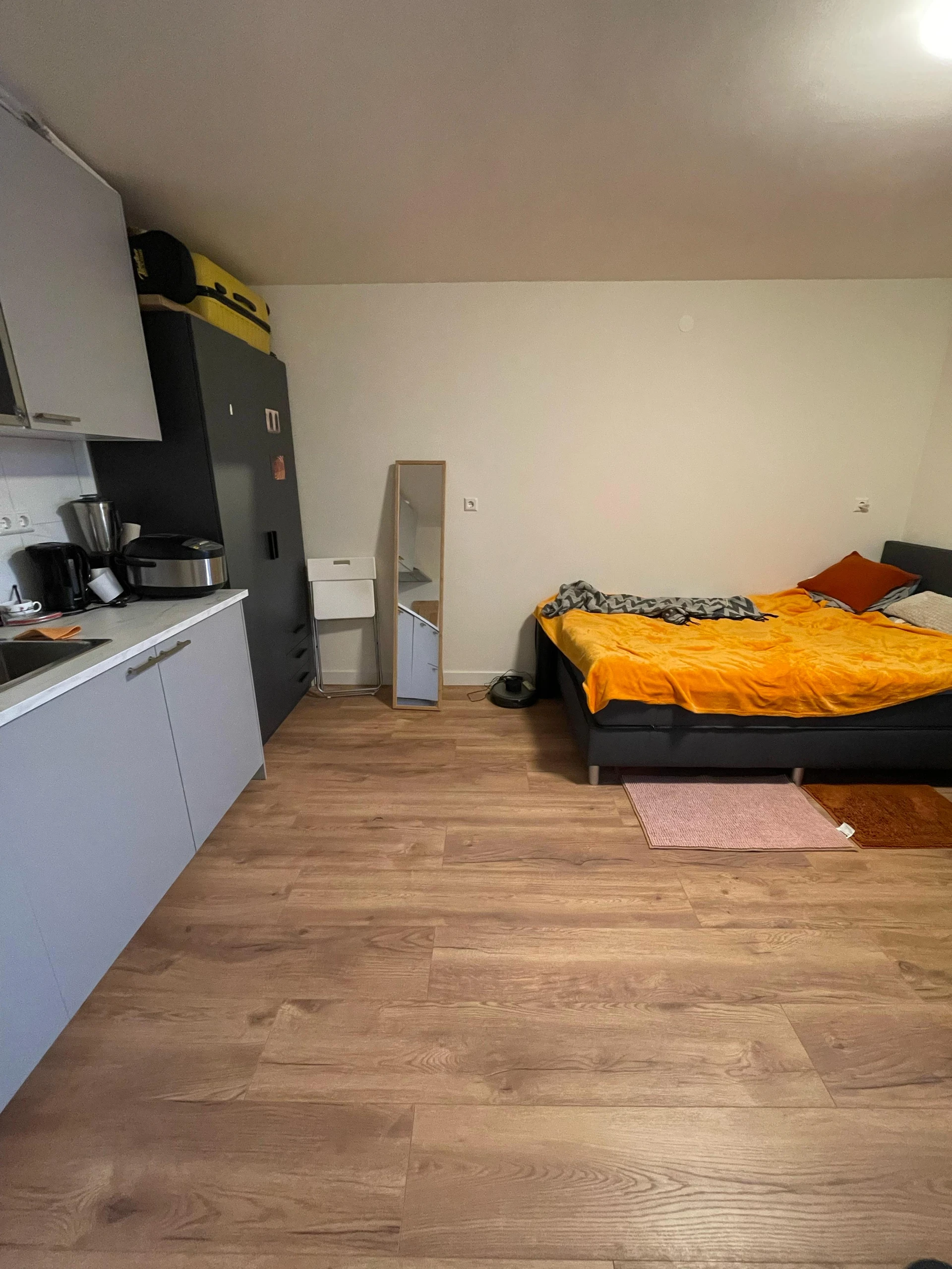 Rental property in Bartolomeo Diazlaan, Utrecht