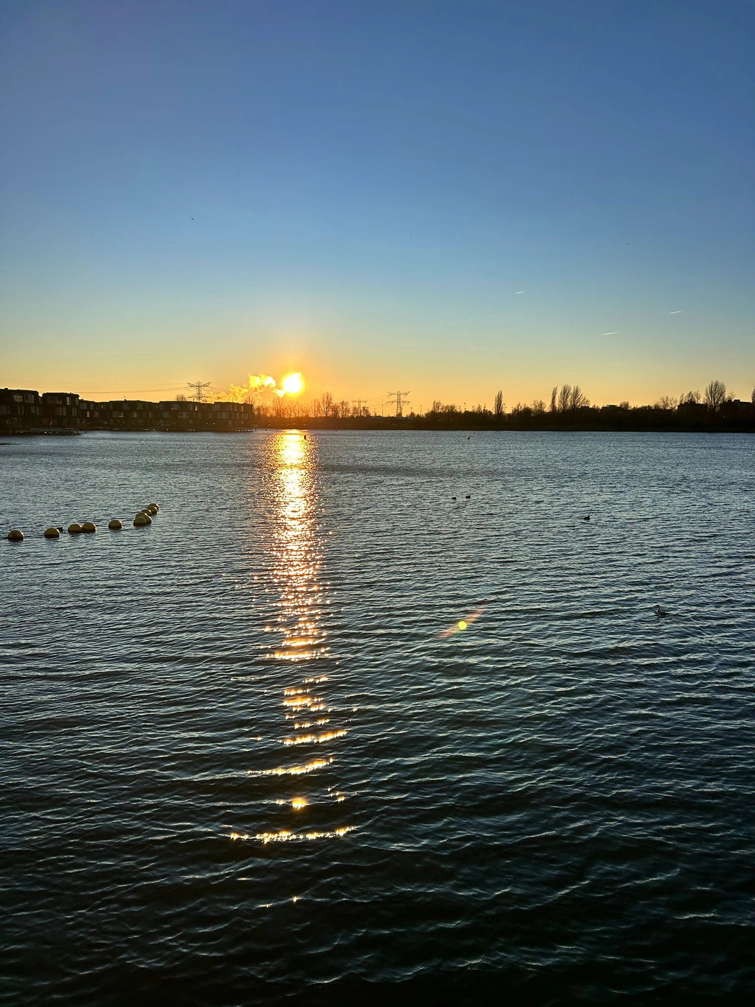 Rental property in Edmond Halleylaan, Amsterdam