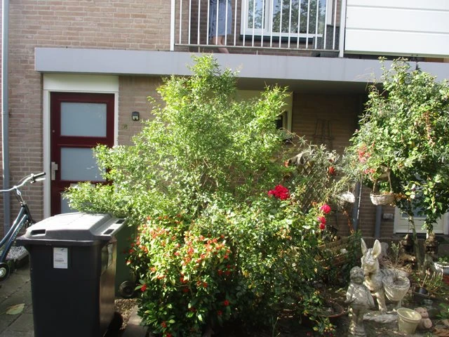Rental property in Montfortstraat 36, Belfeld