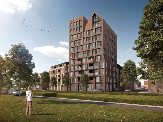 Rental property in Nachtegaalstraat 17B, Zwolle