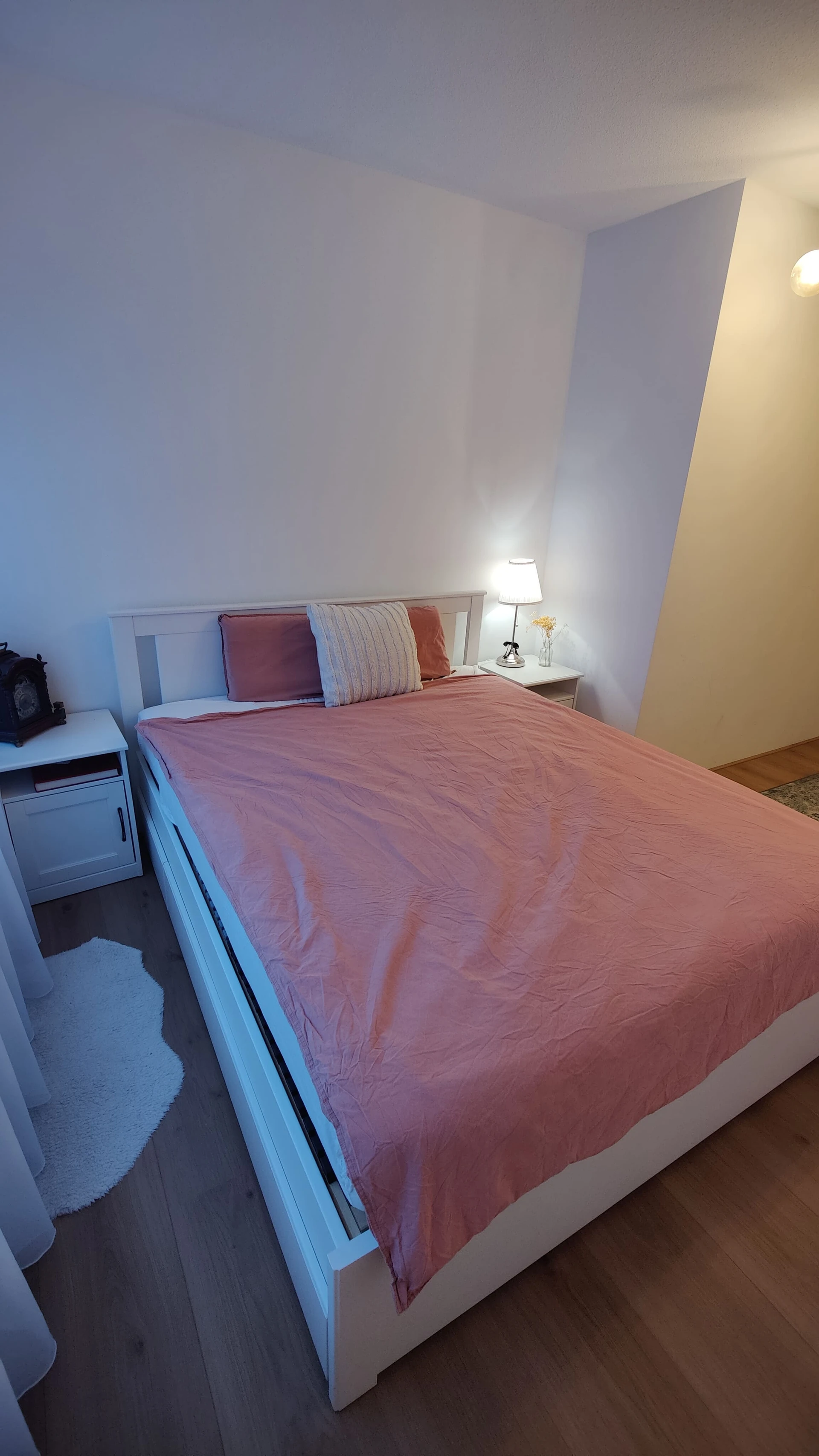 Rental property in Carnapstraat, Amsterdam