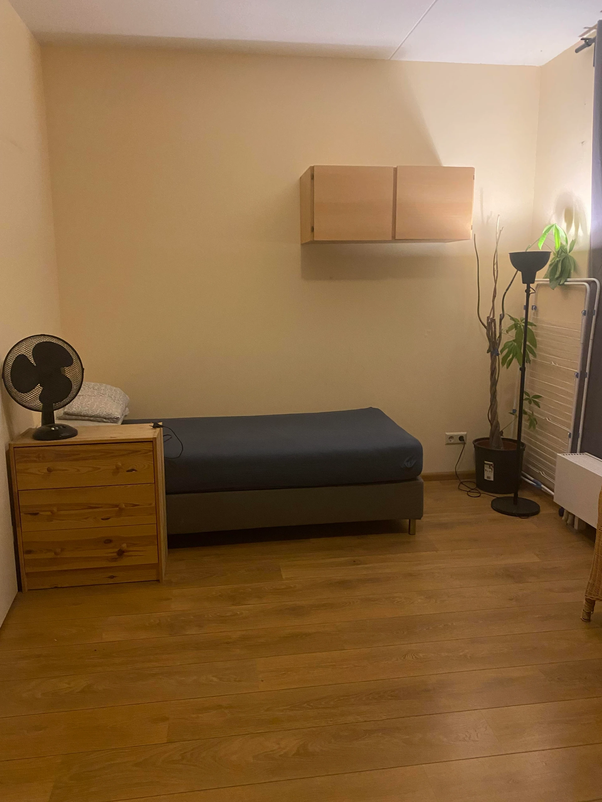 Rental property in Bart Poesiatstraat, Amsterdam