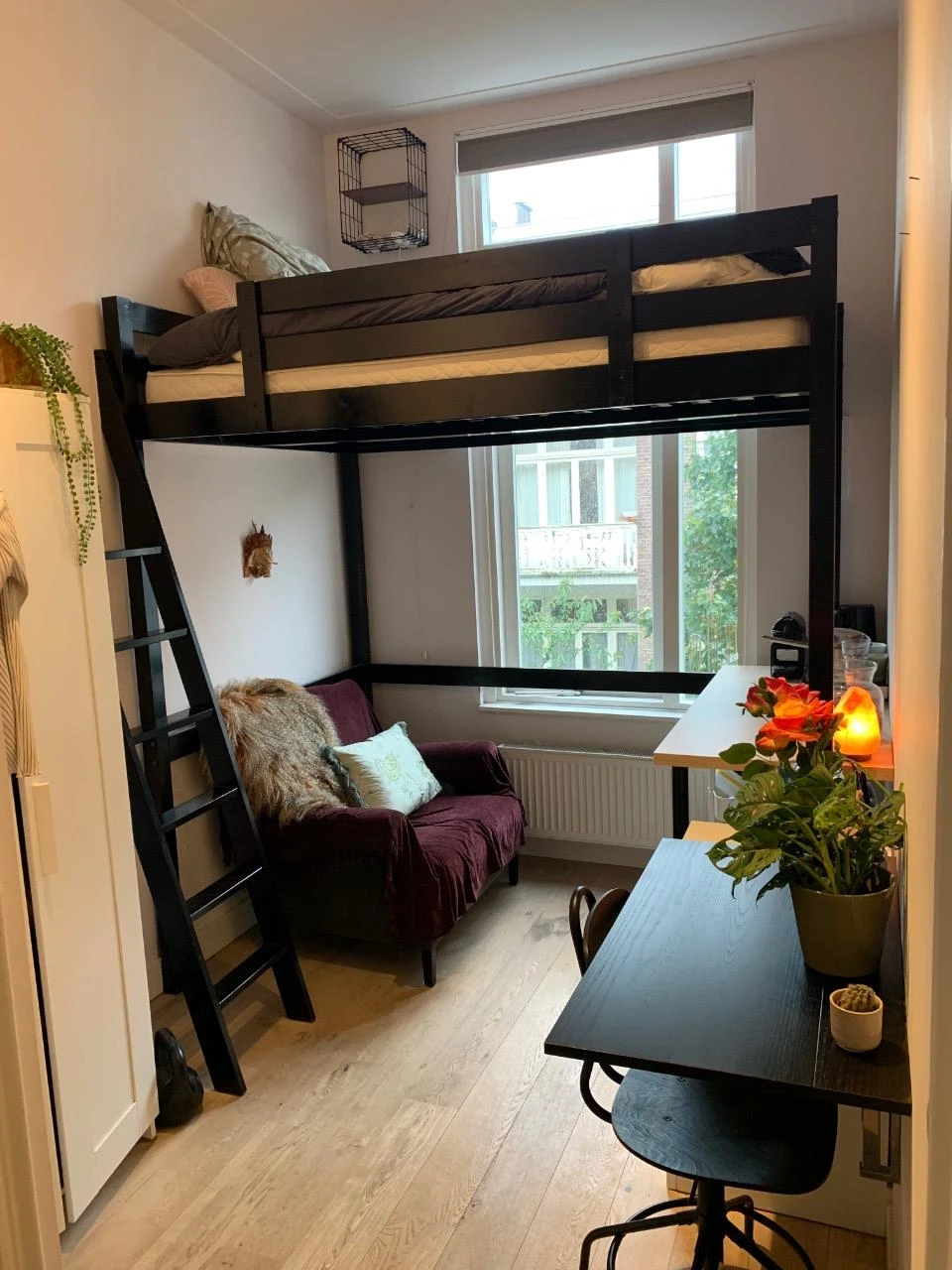 Rental property in Koninginneweg, Amsterdam