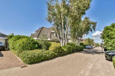 215m2 house to rent for 3250€/month in Ronde Zonnedauw, Velserbroek