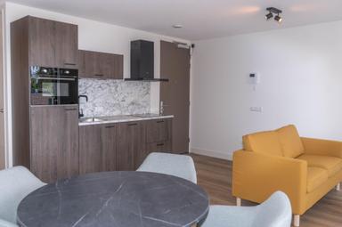 studio de 26m2 à louer pour 1000€/mois à Rosmolenplein, Tilburg