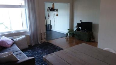 apartment de 49m2 à louer pour 1050€/mois à Hobbemastraat, Tilburg