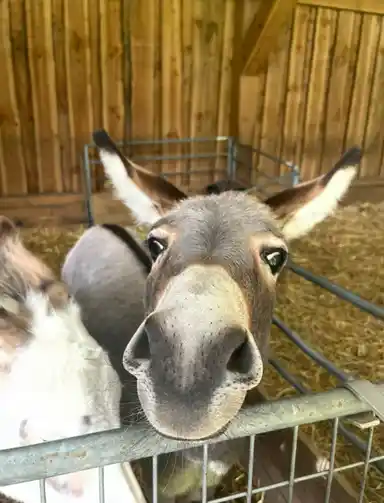 18m2 room in affitto per 640€/mese a Glazeniersdreef, Maastricht