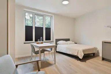 26m2 studio zur Miete für 1071€/Monat in Rosmolenplein, Tilburg