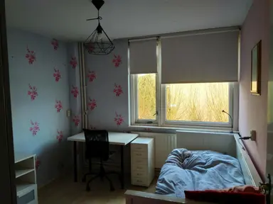 12m2 room to rent for 750€/month in Lariksdreef 34, Vlaardingen