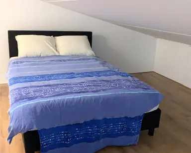 35m2 studio to rent for 1300€/month in Van der Woudendijk 189, The Hague