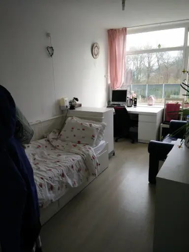 12m2 room to rent for 369€/month in Haringvlietstraat 132, Deventer