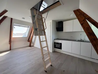267m2 room to rent for 870€/month in Westersingel 19a, Groningen