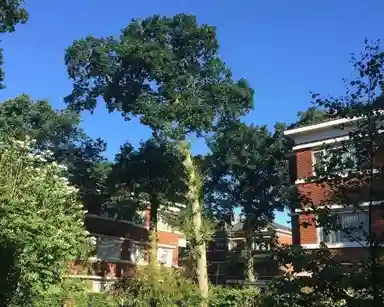 120m2 room to rent for 700€/month in Van Neckstraat 65, The Hague