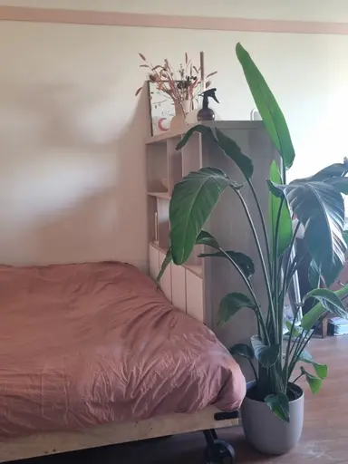 30m2 studio to rent for 968€/month in Europaplein 500, Utrecht