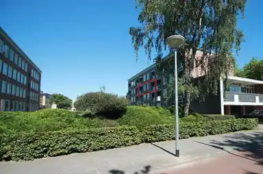 98m2 apartment to rent for 1795€/month in Beverweg, Breda