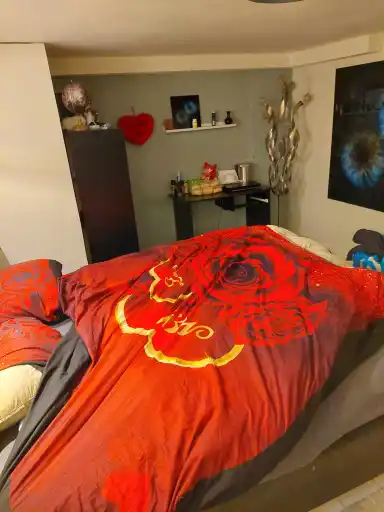 17m2 room to rent for 650€/month in Jozef Israëlslaan 236, Rijswijk