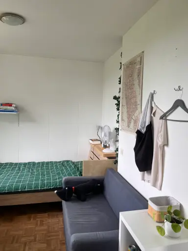 13m2 room to rent for 440€/month in Venuslaan 237, Eindhoven