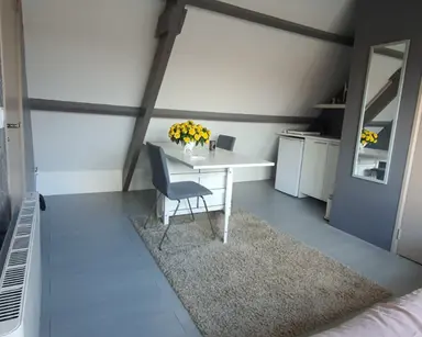 20m2 room to rent for 625€/month in Prins Hendriklaan 46, Hoofddorp