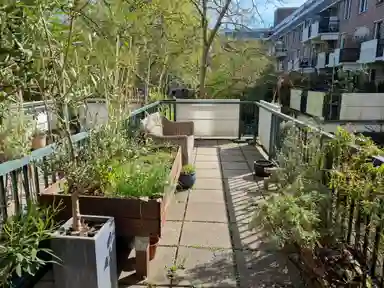 7m2 room to rent for 900€/month in Tidorestraat 62, Amsterdam