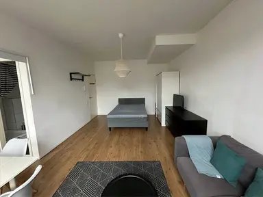 31m2 studio to rent for 1350€/month in Essenburgsingel, Rotterdam