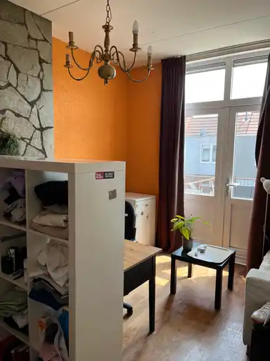 30m2 room to rent for 421€/month in Brasserskade 118, Delft