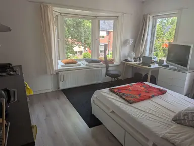 studio de 30m2 à louer pour 890€/mois à Van Panhuysstraat 1, Groningen