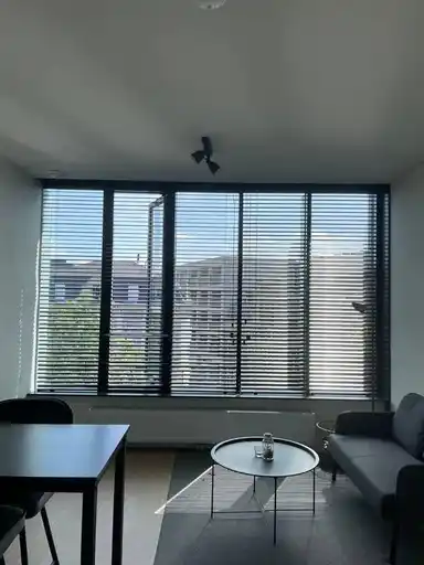 studio de 38m2 à louer pour 1308€/mois à Heuvelring, Tilburg