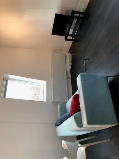 studio de 37m2 à louer pour 1203€/mois à Lupinestraat, Eindhoven