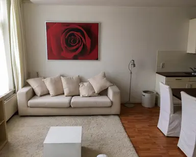 studio 49τ.μ. προς ενοικίαση για 2250€/μήνα στην περιοχή Piet Heinstraat 114, The Hague