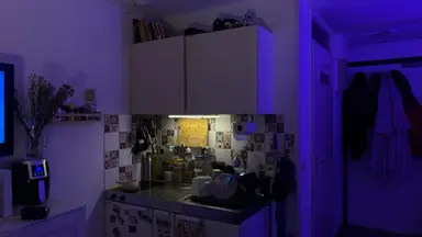 20m2 studio te huur voor 614€/maand in Theresiastraat 6, The Hague