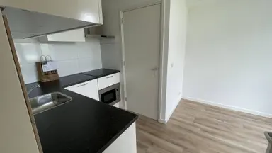 apartment de 25m2 à louer pour 1000€/mois à Parkweg 19a, Groningen