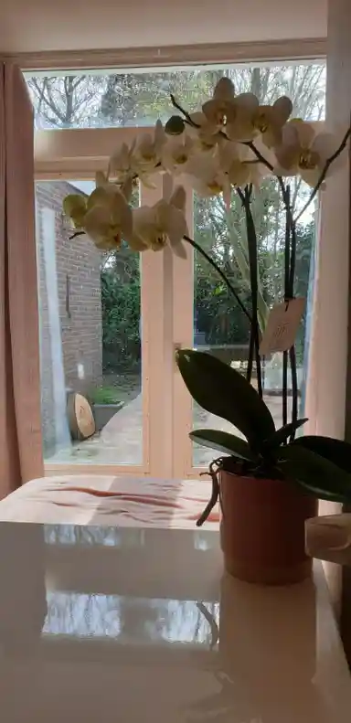 24m2 room te huur voor 643€/maand in Scharnerweg 83, Maastricht