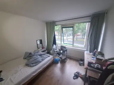 250m2 room to rent for 380€/month in Jacoba van Beierenlaan 49, Delft