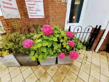 14m2 room to rent for 799€/month in Steynlaan 77, Zeist