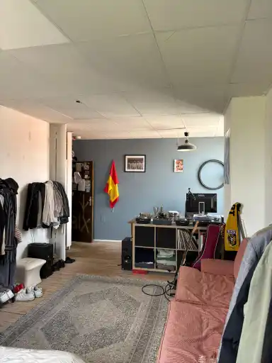 27m2 room to rent for 780€/month in Bagijnhof 161, Delft