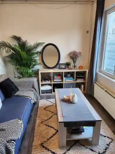 apartment de 50m2 à louer pour 1595€/mois à Laan van Nieuw-Guinea, Utrecht