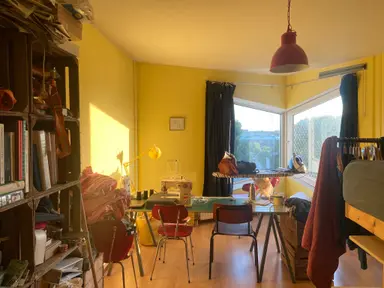 20m2 room to rent for 540€/month in Balthasar van der Polweg 758, Delft