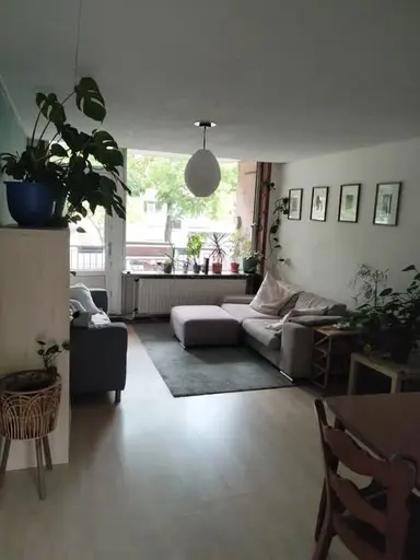 12m2 room to rent for 610€/month in Den Burgstraat, Amsterdam